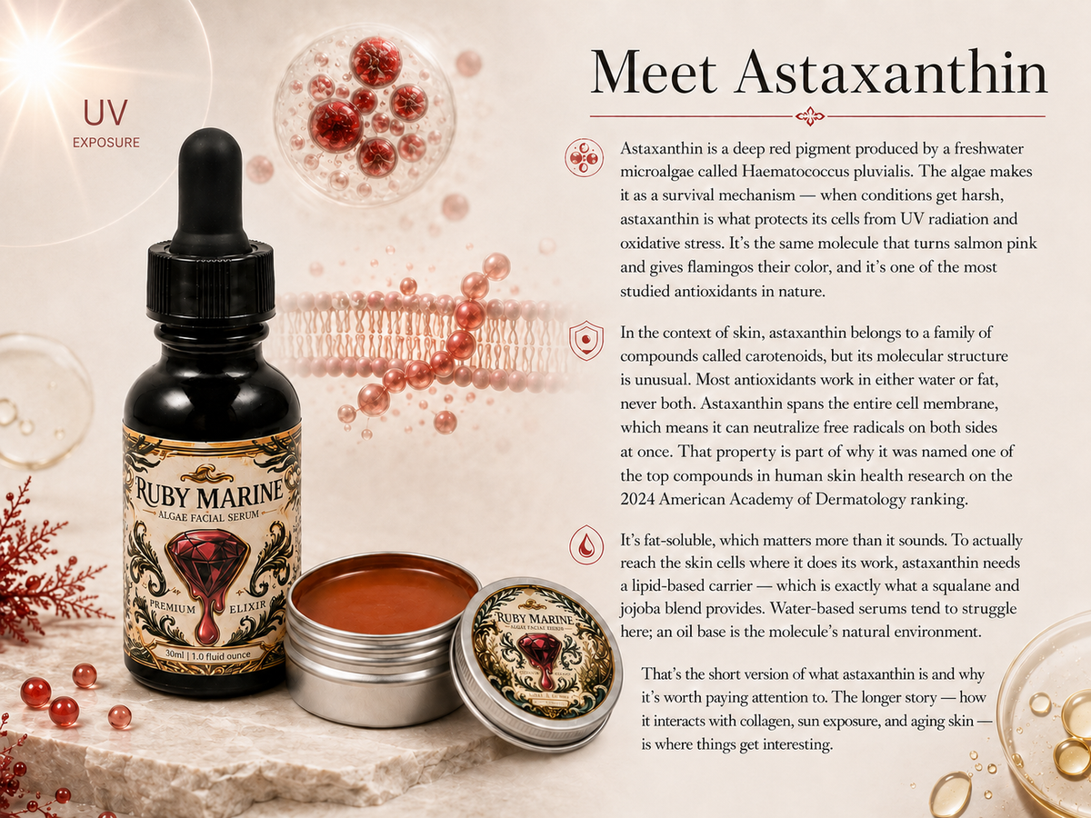 Ruby Cell-Defense Oil