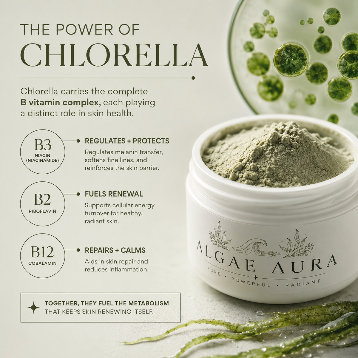 Emerald Chlorella Algae Clay Mask
