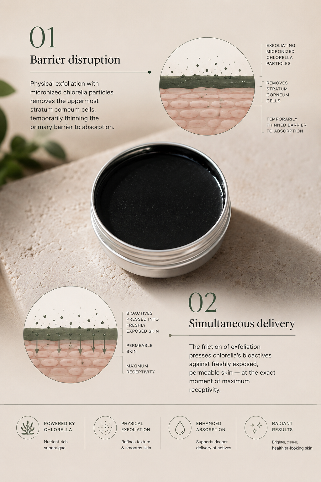 Chlorella Exfoliator