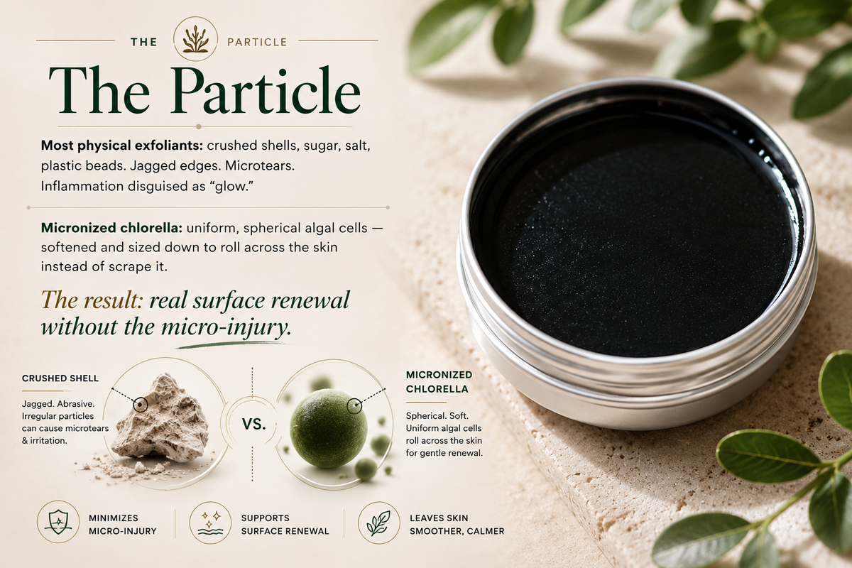 Chlorella Exfoliator